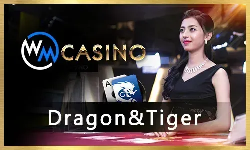 Partner Logo 3